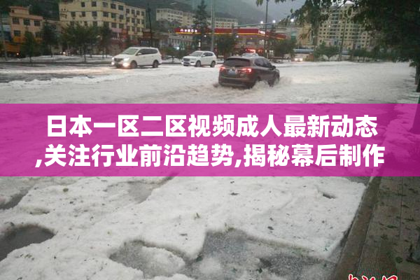 日本一区二区视频成人最新动态,关注行业前沿趋势,揭秘幕后制作