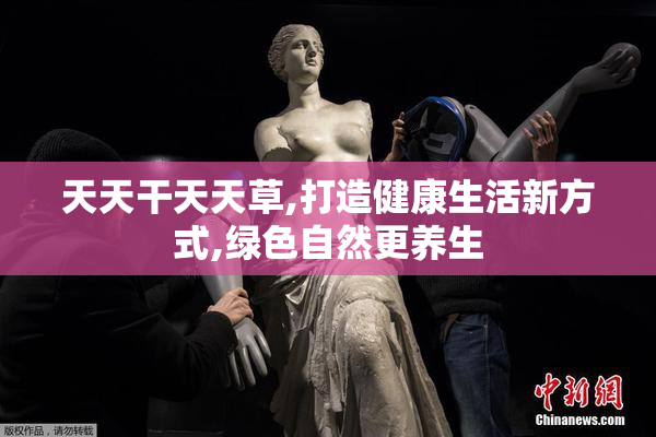 天天干天天草,打造健康生活新方式,绿色自然更养生