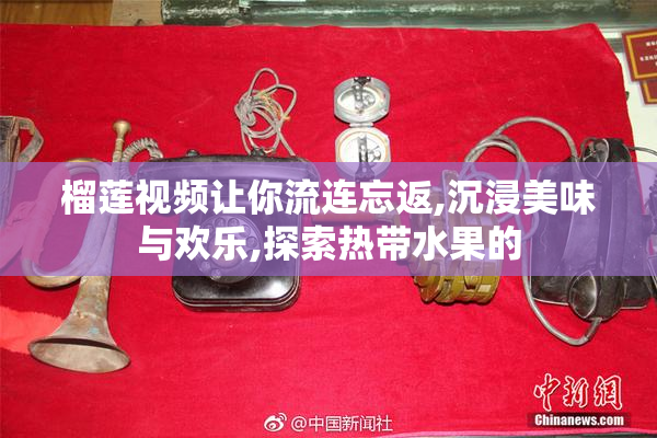 榴莲视频让你流连忘返,沉浸美味与欢乐,探索热带水果的