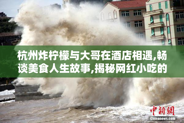 杭州炸柠檬与大哥在酒店相遇,畅谈美食人生故事,揭秘网红小吃的爆