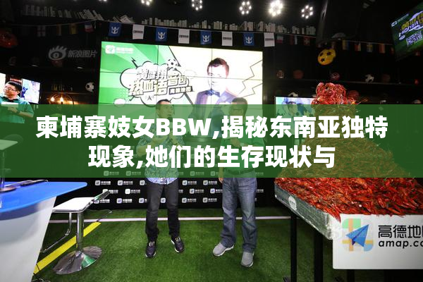 柬埔寨妓女BBW,揭秘东南亚独特现象,她们的生存现状与