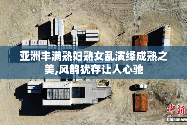 亚洲丰满熟妇熟女乱演绎成熟之美,风韵犹存让人心驰