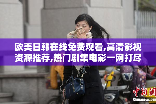 欧美日韩在线免费观看,高清影视资源推荐,热门剧集电影一网打尽