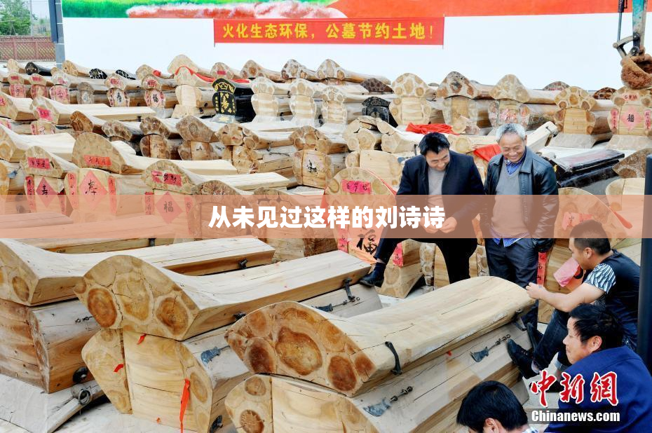 从未见过这样的刘诗诗