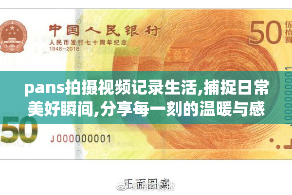 pans拍摄视频记录生活,捕捉日常美好瞬间,分享每一刻的温暖与感动