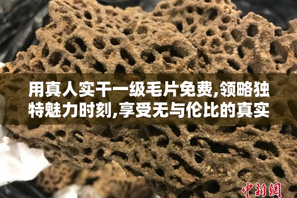 用真人实干一级毛片免费,领略独特魅力时刻,享受无与伦比的真实