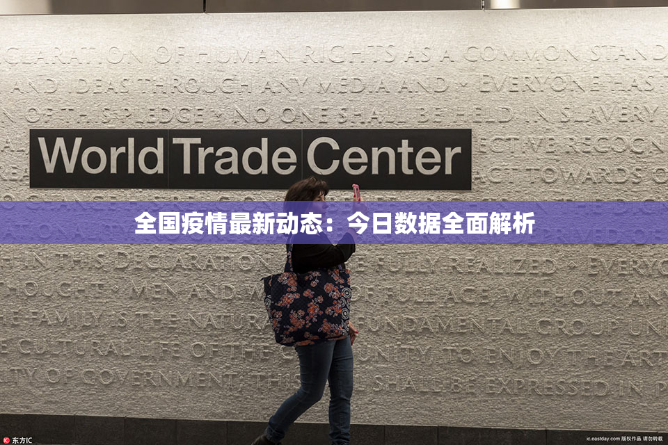 全国疫情最新动态：今日数据全面解析