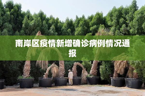 南岸区疫情新增确诊病例情况通报