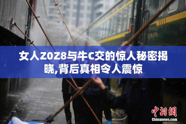 女人Z0Z8与牛C交的惊人秘密揭晓,背后真相令人震惊