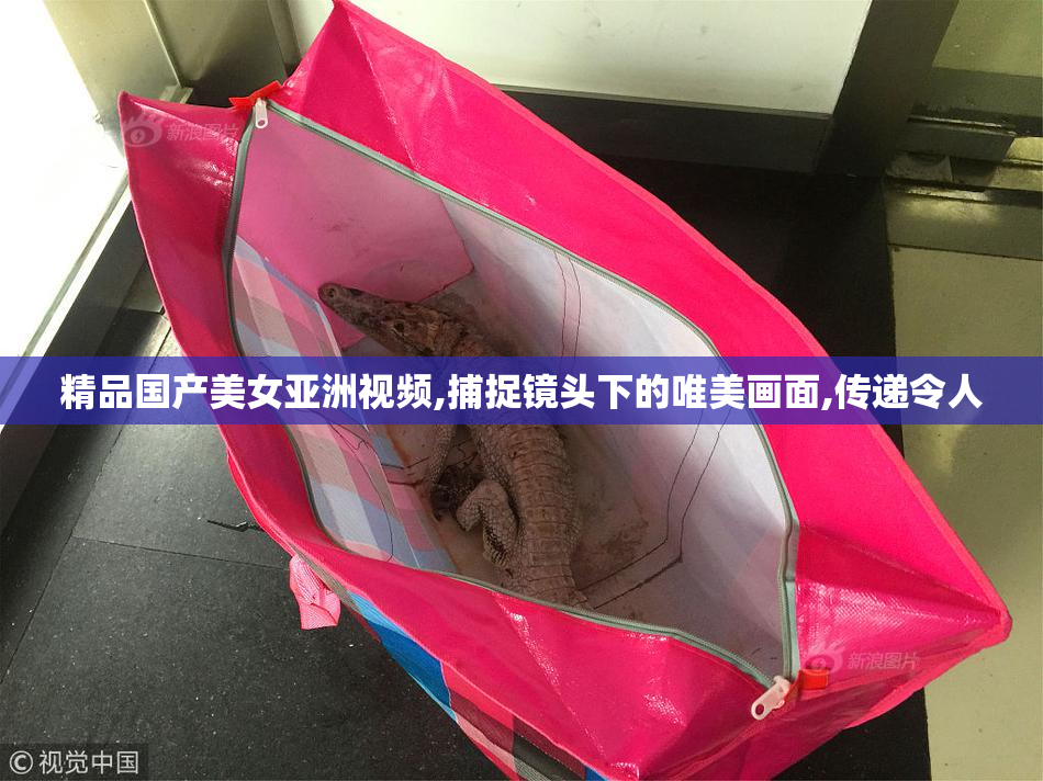 精品国产美女亚洲视频,捕捉镜头下的唯美画面,传递令人