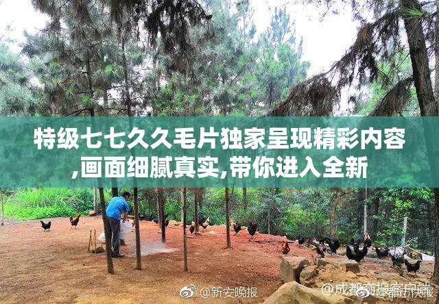 特级七七久久毛片独家呈现精彩内容,画面细腻真实,带你进入全新