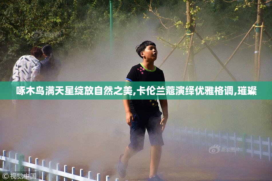 啄木鸟满天星绽放自然之美,卡伦兰蔻演绎优雅格调,璀璨