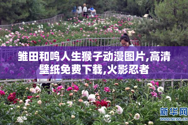 雏田和鸣人生猴子动漫图片,高清壁纸免费下载,火影忍者