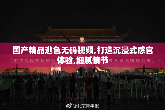 国产精品逃色无码视频,打造沉浸式感官体验,细腻情节