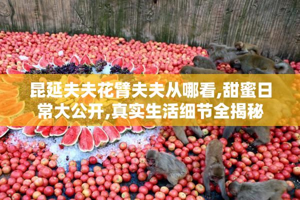 昆延夫夫花臂夫夫从哪看,甜蜜日常大公开,真实生活细节全揭秘