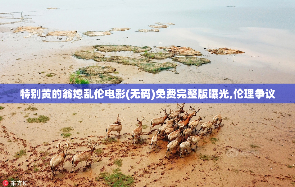 特别黄的翁媳乱伦电影(无码)免费完整版曝光,伦理争议