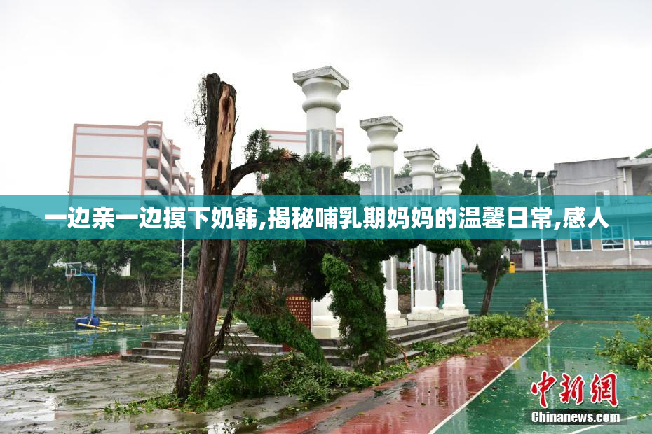 一边亲一边摸下奶韩,揭秘哺乳期妈妈的温馨日常,感人