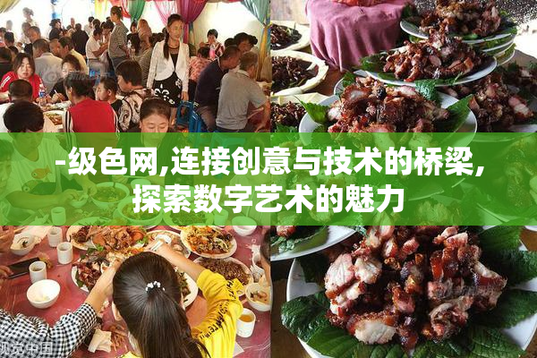 -级色网,连接创意与技术的桥梁,探索数字艺术的魅力