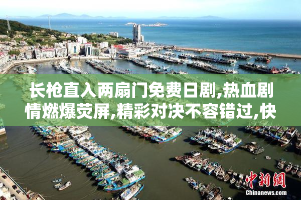 长枪直入两扇门免费日剧,热血剧情燃爆荧屏,精彩对决不容错过,快