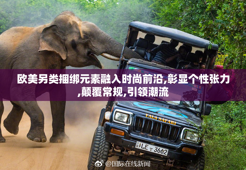 欧美另类捆绑元素融入时尚前沿,彰显个性张力,颠覆常规,引领潮流