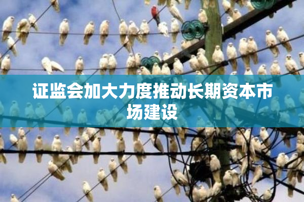证监会加大力度推动长期资本市场建设
