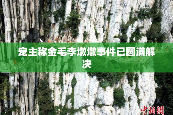 宠主称金毛李墩墩事件已圆满解决
