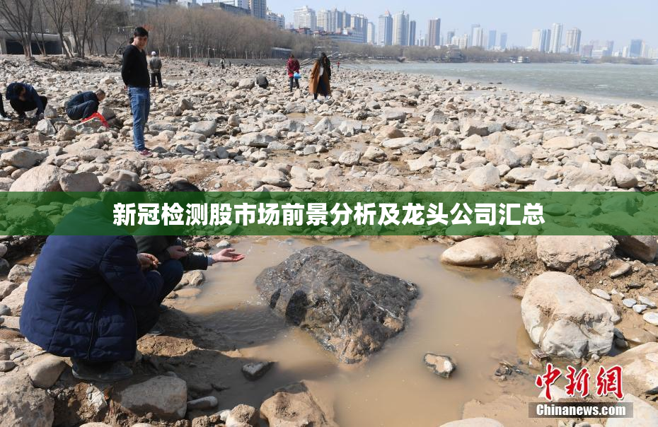 新冠检测股市场前景分析及龙头公司汇总