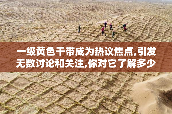 一级黄色干带成为热议焦点,引发无数讨论和关注,你对它了解多少啊