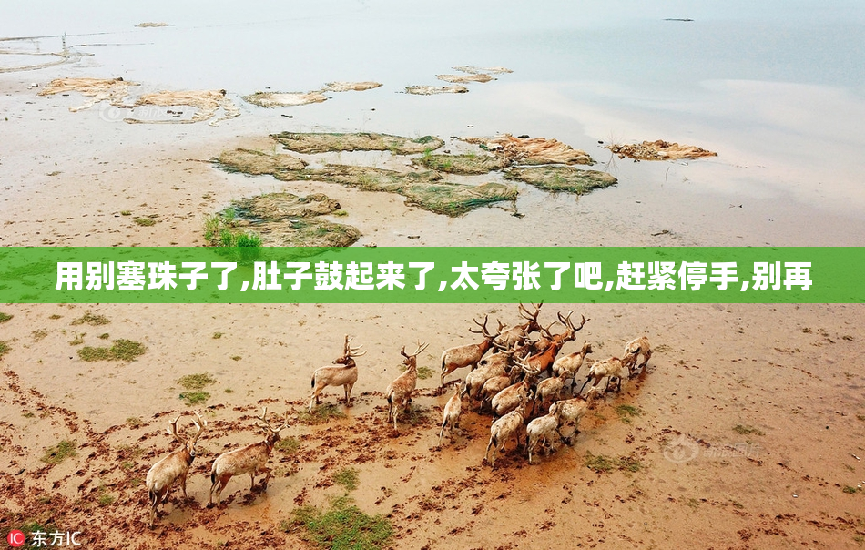 用别塞珠子了,肚子鼓起来了,太夸张了吧,赶紧停手,别再