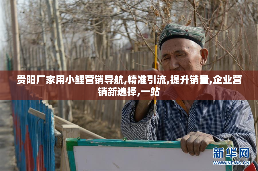 贵阳厂家用小鲤营销导航,精准引流,提升销量,企业营销新选择,一站