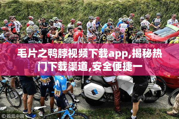 毛片之鸭脖视频下载app,揭秘热门下载渠道,安全便捷一