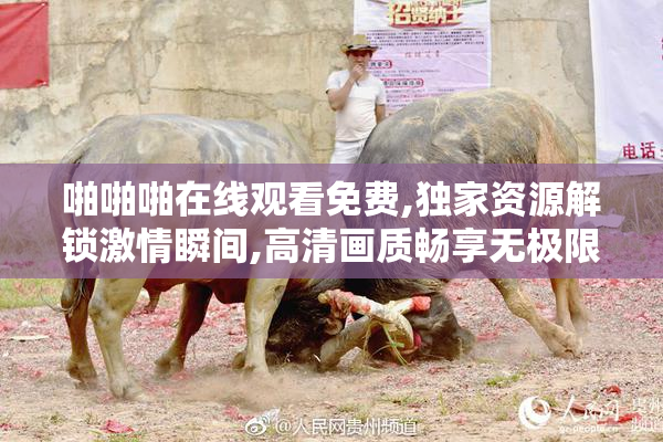 啪啪啪在线观看免费,独家资源解锁激情瞬间,高清画质畅享无极限