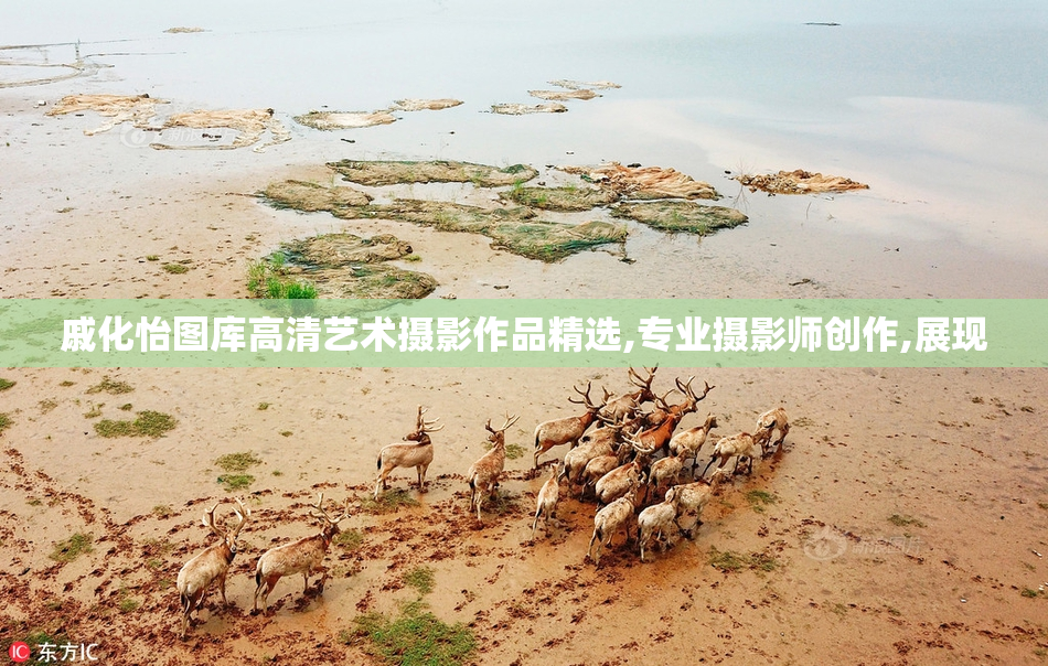戚化怡图库高清艺术摄影作品精选,专业摄影师创作,展现