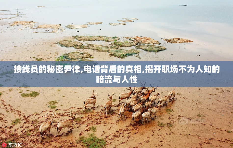 接线员的秘密尹律,电话背后的真相,揭开职场不为人知的暗流与人性