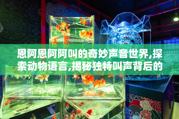 恩阿恩阿阿叫的奇妙声音世界,探索动物语言,揭秘独特叫声背后的秘密