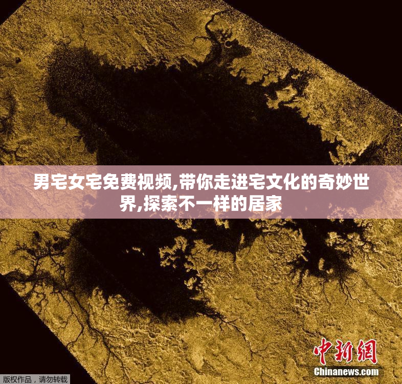 男宅女宅免费视频,带你走进宅文化的奇妙世界,探索不一样的居家