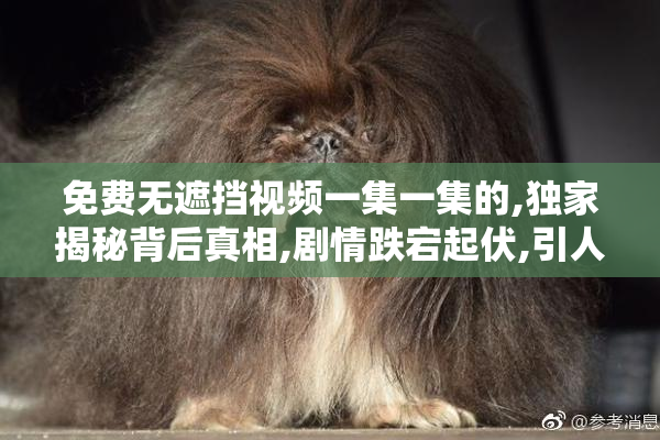 免费无遮挡视频一集一集的,独家揭秘背后真相,剧情跌宕起伏,引人入