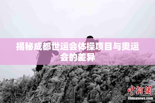 揭秘成都世运会体操项目与奥运会的差异