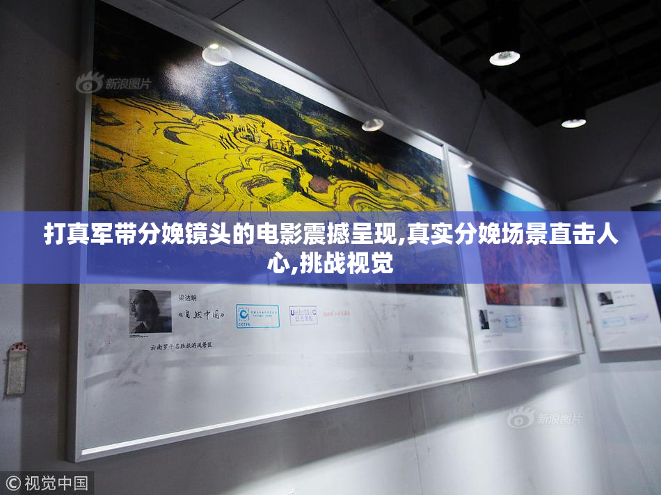 打真军带分娩镜头的电影震撼呈现,真实分娩场景直击人心,挑战视觉