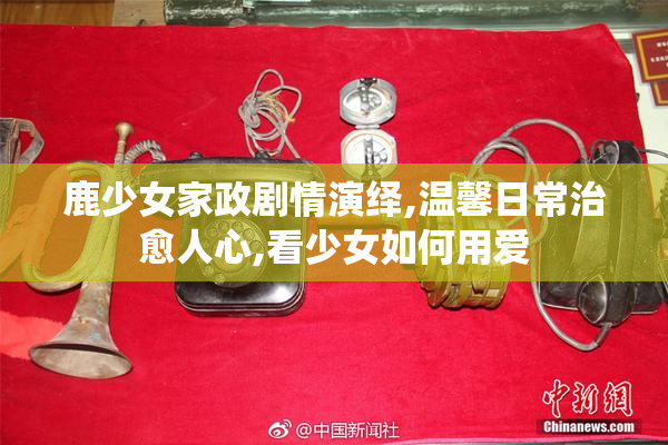 鹿少女家政剧情演绎,温馨日常治愈人心,看少女如何用爱