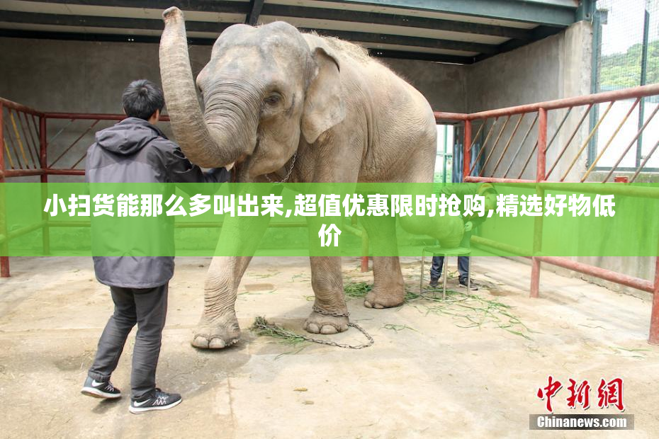 小扫货能那么多叫出来,超值优惠限时抢购,精选好物低价