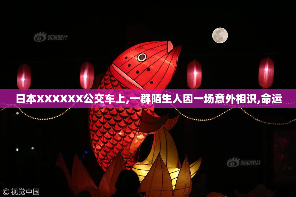 日本XXXXXX公交车上,一群陌生人因一场意外相识,命运