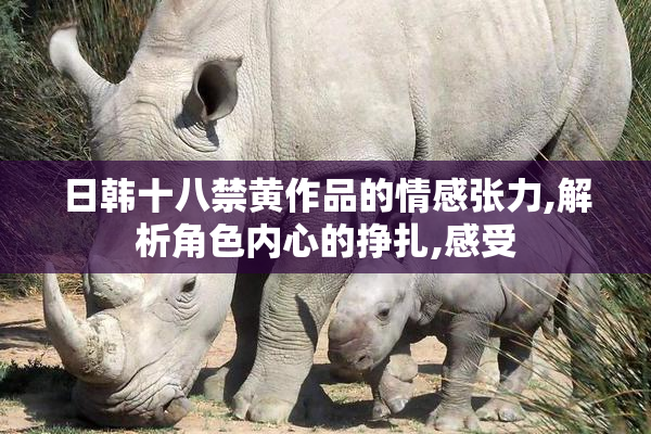 日韩十八禁黄作品的情感张力,解析角色内心的挣扎,感受