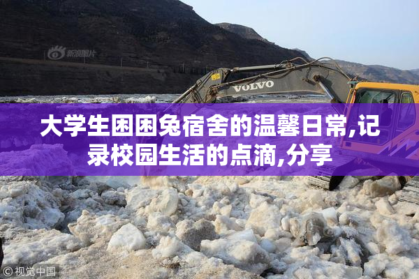 大学生困困兔宿舍的温馨日常,记录校园生活的点滴,分享