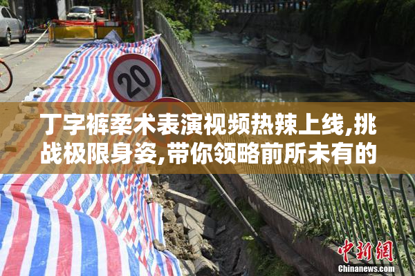 丁字裤柔术表演视频热辣上线,挑战极限身姿,带你领略前所未有的