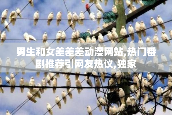 男生和女差差差动漫网站,热门番剧推荐引网友热议,独家