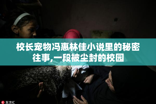 校长宠物冯惠林佳小说里的秘密往事,一段被尘封的校园