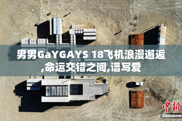 男男GaYGAYS 18飞机浪漫邂逅,命运交错之间,谱写爱