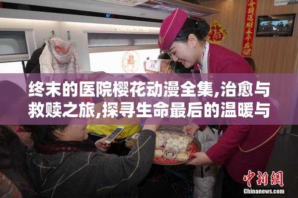 终末的医院樱花动漫全集,治愈与救赎之旅,探寻生命最后的温暖与希望