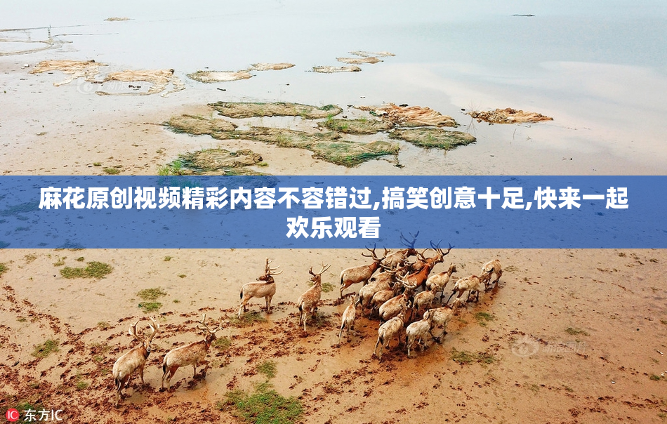 麻花原创视频精彩内容不容错过,搞笑创意十足,快来一起欢乐观看